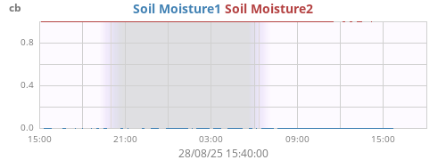 daymoistsoil